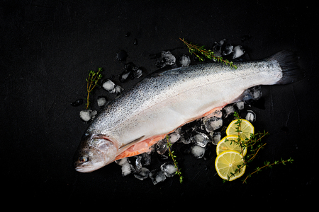 Fresh raw salmon red fish with ice on a dark background. Flat lay. Top viewの写真素材