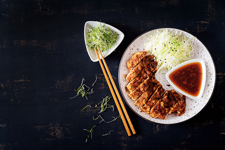 Japanese cuisine. Deep-fried pork chop, or Japanese chop with cabbage and tonkatsu sauce. Top viewの写真素材