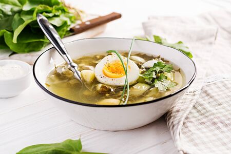 Green soup of sorrel in white  bowl.の写真素材
