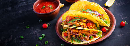 Taco. Mexican tacos with beef meat, corn and salsa. Mexican cuisine. Bannerの写真素材