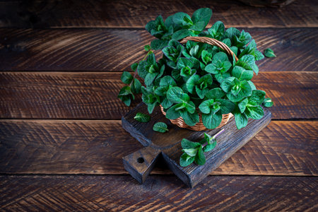 Mint. Bunch of fresh green organic mint leaf on wooden table closeup. Peppermint in small basket on natural wooden backgroundの写真素材