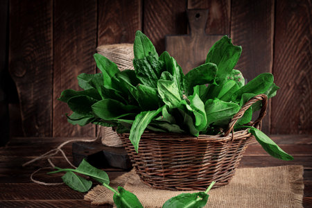 Sorrel. Bunch of fresh green organic sorrel leaf on wooden table closeup.の写真素材