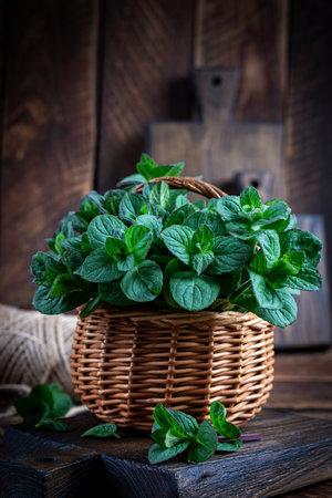 Mint. Bunch of fresh green organic mint leaf on wooden table closeup. Peppermint in small basket on natural wooden backgroundの写真素材