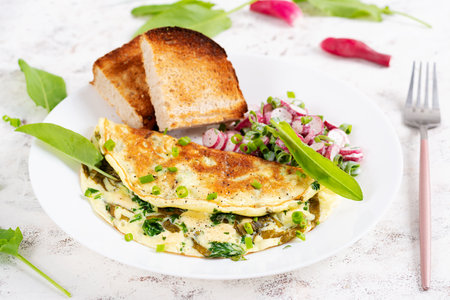 Healthy breakfast. Omelette with sorrel, cheese and radish salad. Keto, ketogenic lunch.の写真素材