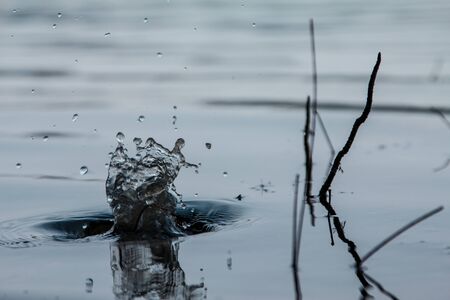 Glassy water dropの写真素材