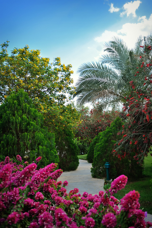 green trees and flowers on a background of blue sky.の写真素材