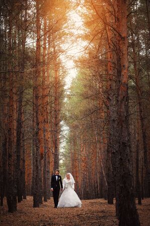 Wedding bride and groom in forestの写真素材