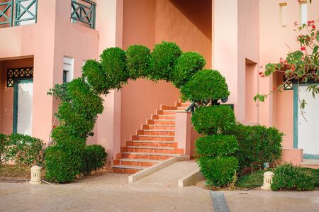 beautiful green arch with decorative tree at the hotel.