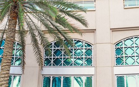Detail of Mediterranean architecture, building made of lime stone in the afternoon light and palm trees.の写真素材
