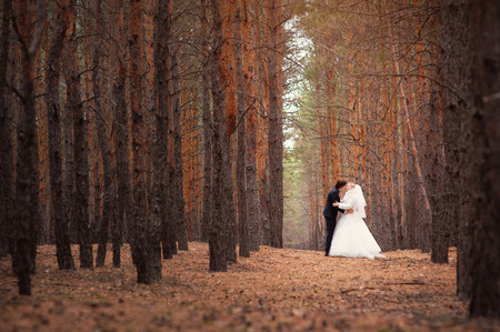 bride groom are walking in the woods at the wedding.の写真素材
