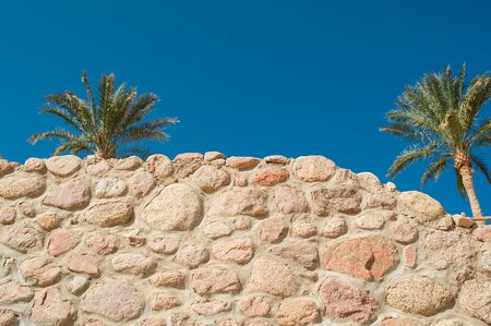 Stone wall and palms against the blue sky.の写真素材