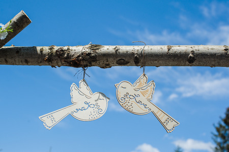 beautiful decor for the wedding ceremony.の写真素材