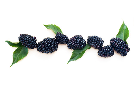 blackberries and green leaves are on white background.
