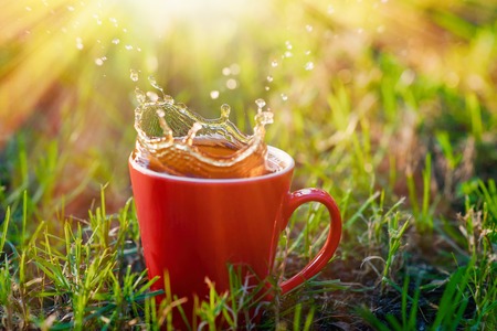 red mug of tea on a background of grass in the park.の写真素材