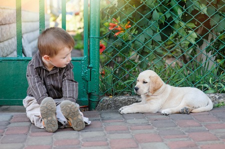 Cute little boy kneeling with his puppy labrador smiling at camera.の写真素材