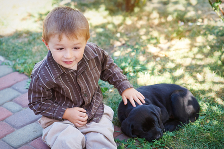 Little boy playing with a black Labrador puppy.の写真素材