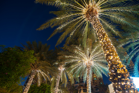 christmas decoration background palm tree.の写真素材