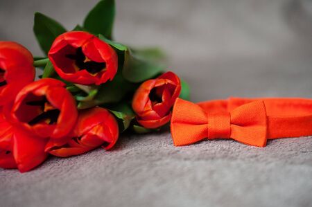 bouquet of red tulips and a red bow tie.の写真素材