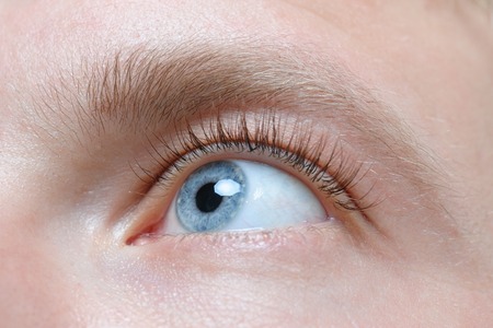Beautiful blue man eye close up, eyelash extension.の写真素材