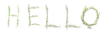 Hand painted Poster with Flowers and Lettering. word hello from flowers on white background.