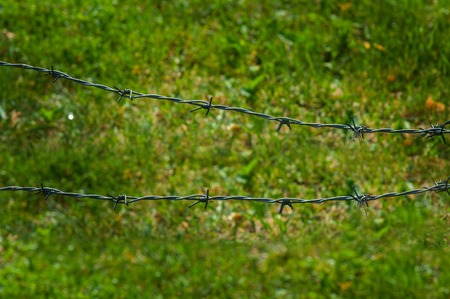 Barbed wire fence and green grass field.の写真素材