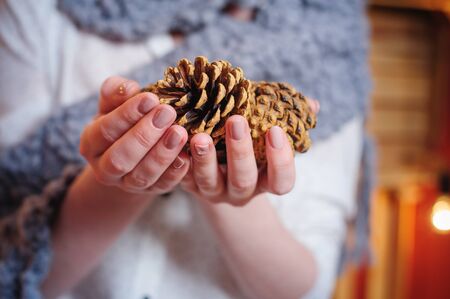 woman holding a pine conesの写真素材
