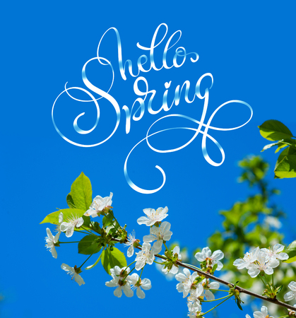 flowering spring tree in the garden close up and text Hello Spring. Calligraphy letteringの写真素材