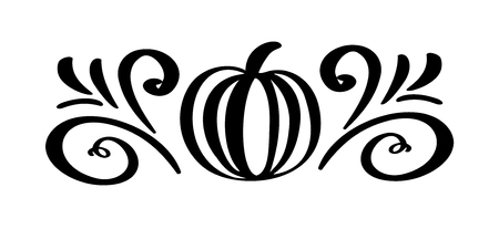 Pumpkin vegetable hand drawn floral autumn design elements isolated on white background for retro design. Vector calligraphy and lettering illustration.のイラスト素材