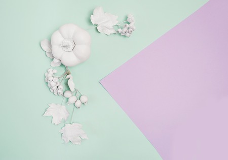 Frame mockup with pumpkin, berries and leaves on turquoise and violet pastel autumn background. Greeting card for Thanksgiving Day in rustic style with space for your text. Flat lay. Top viewの写真素材