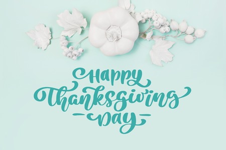 Greeting card for Thanksgiving Day in rustic style with text Happy Thanksgiving Day. Frame mockup with pumpkin, berries and leaves on a green pastel autumn background. Flat lay. Top viewの写真素材