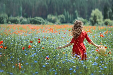 back of a brunette woman walking along a poppy field at sunset, the concept of sensuality, freedom, femininityの写真素材