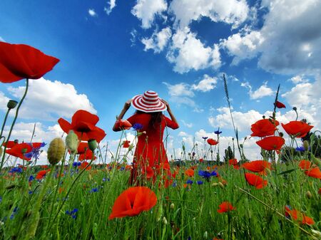 Dreamy woman in red dress and a big red striped hat turned back in beautiful herb flowering poppy field. Vintage elegant romantic look. concept of lovelyの写真素材