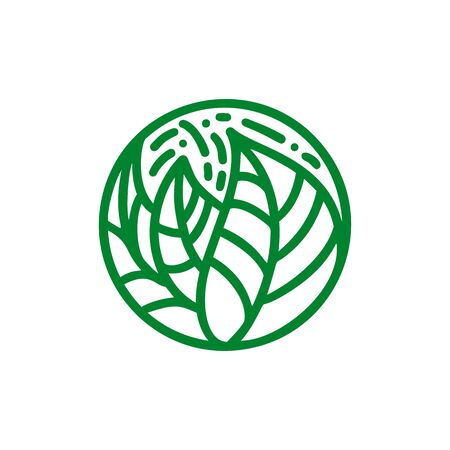Tropical plant green leaves  . Round bio emblem in a circle linear style. Vector abstract badge for design of natural products, flower shop, eco cosmetics, ecology concepts, health, spa, yoga Centerのイラスト素材