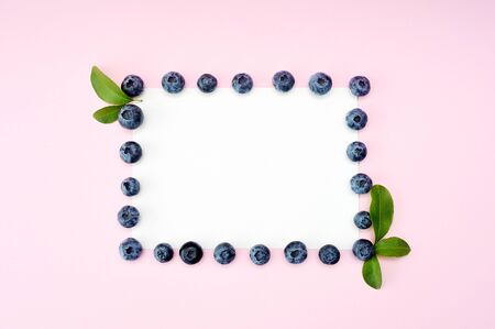 Summer blueberry round frame isolated on white background. Berries border design. Close up top view or flat lay with place for your textの写真素材