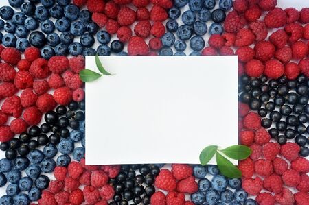 Summer blueberry, raspberries and currant mock up frame detox isolated on white background. Berries border design. Close up top view or flat lay with place for your textの写真素材
