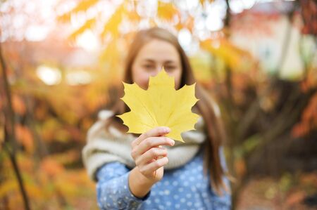 Excited happy fall woman smiling joyful and blissful holding autumn leaves outside in colorful fall forest. Beautiful energetic race Caucasian young womanの写真素材