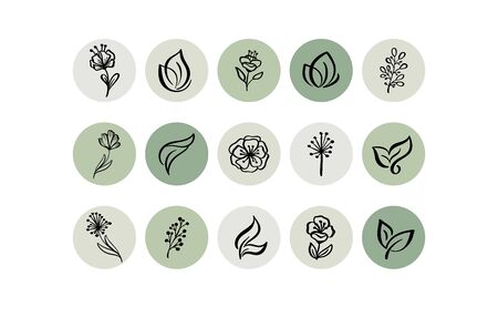 Green Highlight Cover Icon. Highlight Story Natural. Hand Drawn Floral Logo. Logo Template for photographer, fashion blogger, yoga studio. Monoline style Herb. Botanical Floral Illustrationsのイラスト素材