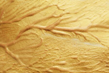 Golden Yellow Abstract Acrylic Painted Background with place for textの写真素材