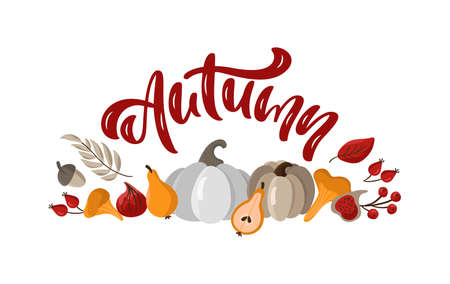 Autumn vector calligraphy lettering text banner in frame fall leaves, acorns, pumpkins and berries. Vector template with lettering isolated on white backgroundのイラスト素材
