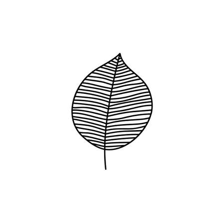 Spring Leaf Outline Vector line Icon. Doodle Spring Concept Minimal Style Illustration for kids book design or web. Element of tree logoのイラスト素材