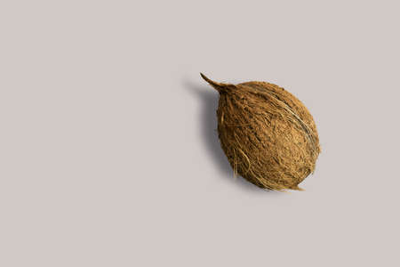 Dry coconut fruits on a white background for the menu. Geometric background. Flat lay, copy space, top view.の写真素材