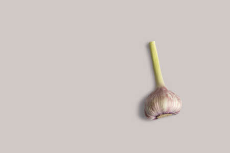 Top up up view fresh garlic isolated on grey background. suitable for your design project.の写真素材