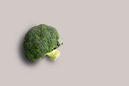 Top up up view fresh broccoli isolated on grey background. suitable for your design project.の写真素材