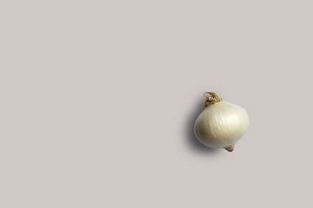 Top up up view fresh onion isolated on grey background. suitable for your design project.の写真素材