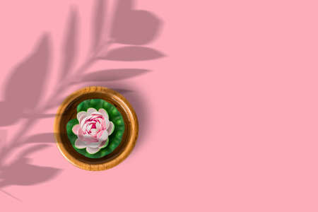 Lily decoration on water wooden bowl isolated on pink background.