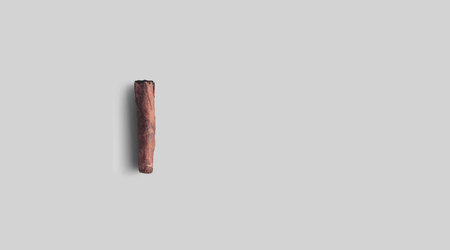 cigar isolated on white background- close-up view.の写真素材