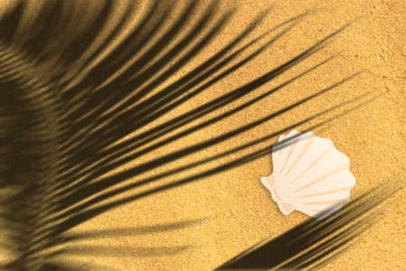 Close up view wooden sea shell isolated on sand beach. added copy space for text.