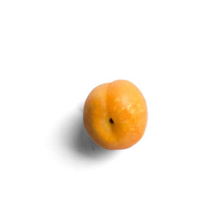 Fresh juicy apricot isolated on the white backgroundの写真素材