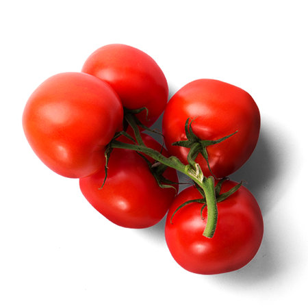 Fresh red tomato from top up view isolated on white background.の写真素材