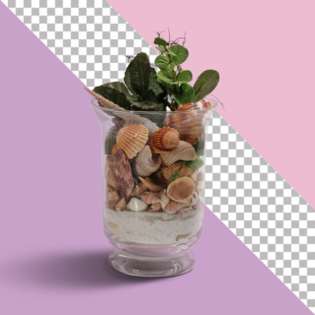 Isolated crystal jar with full of shellsの写真素材